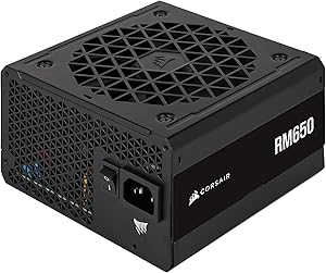 CORSAIR RM650 80 PLUS Gold 650W PSU