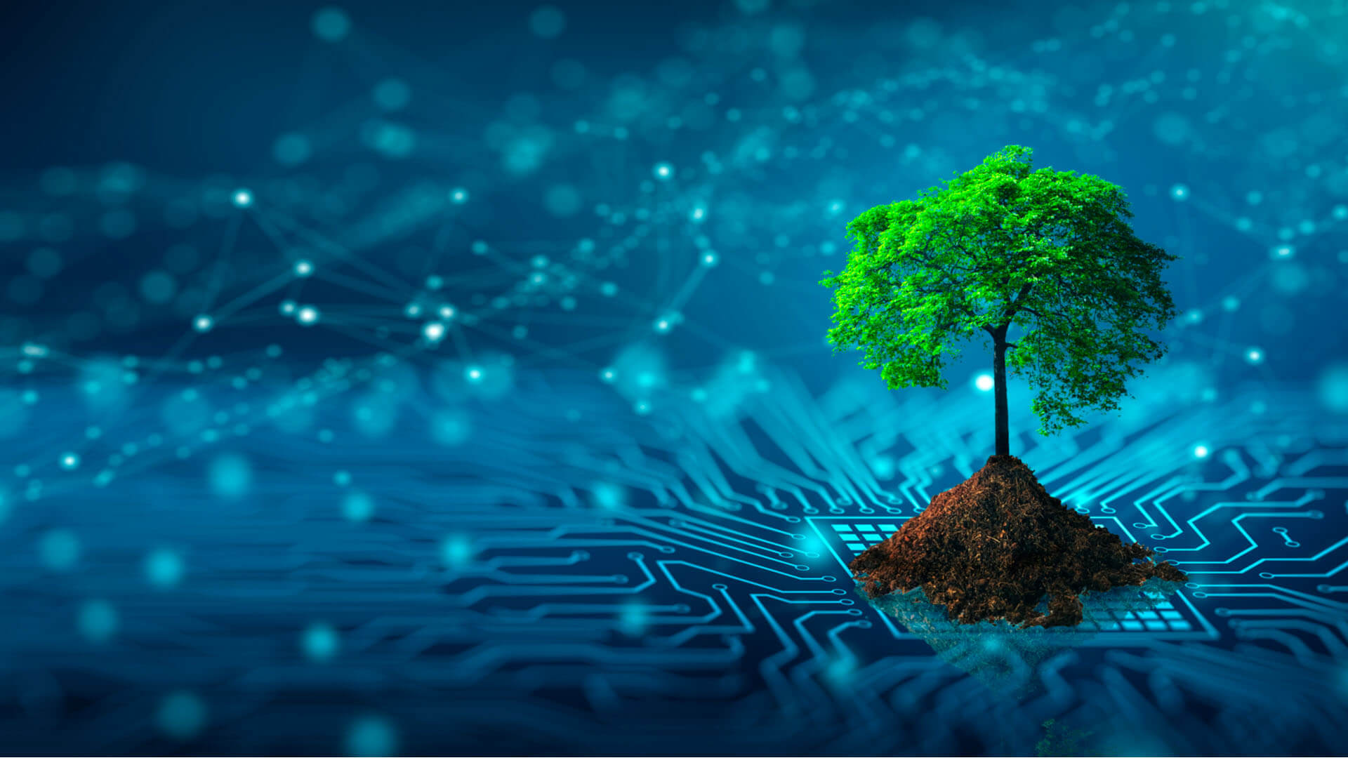 Sustainable Green Computing